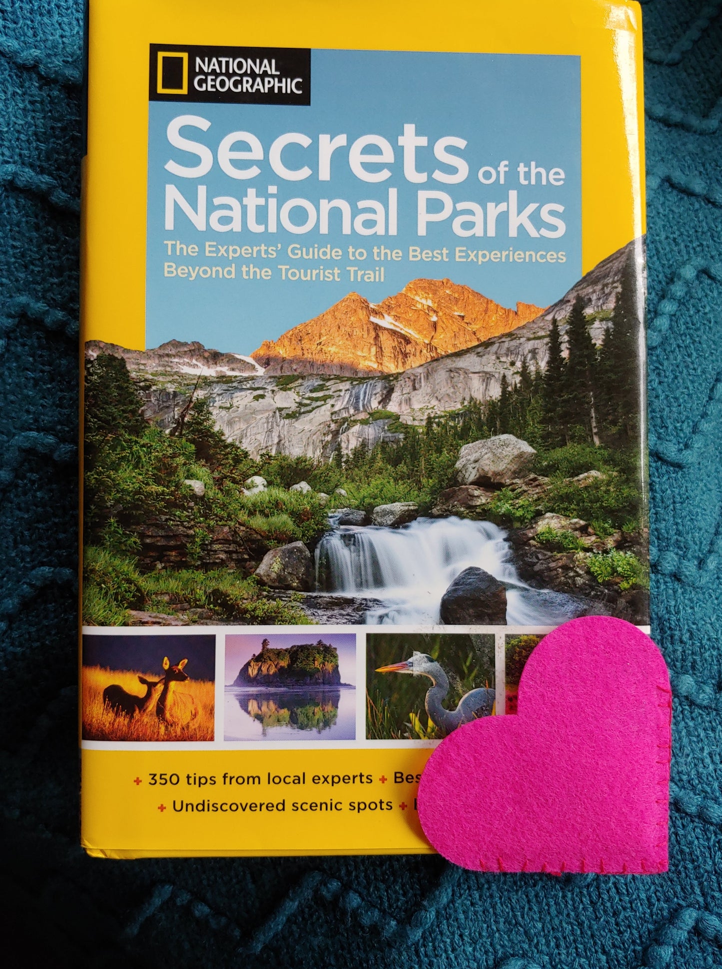 Magenta heart-shaped felt corner bookmark with stitched details. A charming and functional gift for book lovers, students, and journal enthusiasts. Shown on book cover.